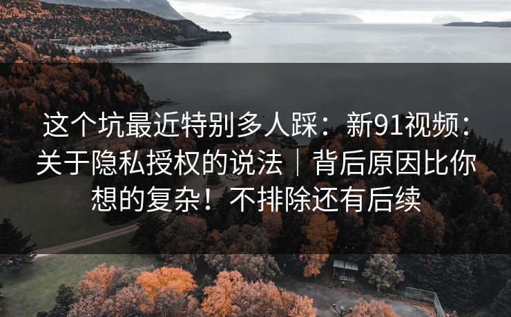 这个坑最近特别多人踩：新91视频：关于隐私授权的说法｜背后原因比你想的复杂！不排除还有后续