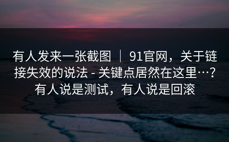 有人发来一张截图 ｜ 91官网，关于链接失效的说法 - 关键点居然在这里…？有人说是测试，有人说是回滚